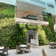 parede verde para ambiente interno / de plantas naturais / em painel modular / de folhagem densa